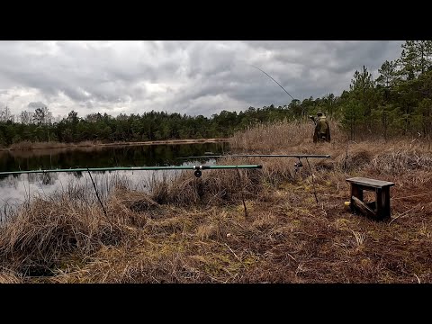Видео: Рибалка на вудку на дикому озері