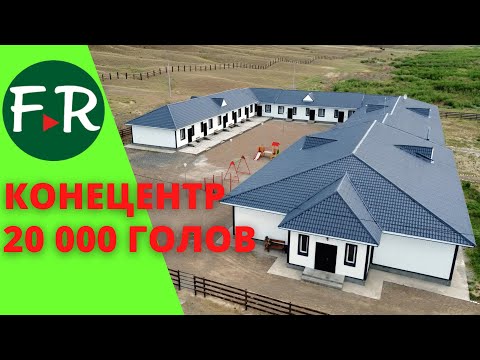 Видео: Вот это Конецентр! 20 000 голов лошадей! СуперБыт табунщиков. Предприятие Алаколь-Агро. Казахстан