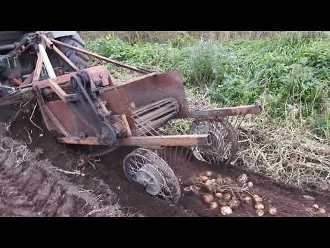 Видео: самодельная картофелекопалка тракторная в работе
