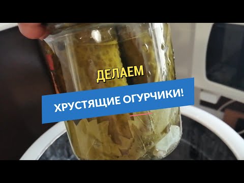 Видео: Хрустящие маринованные огурчики в автоклаве!