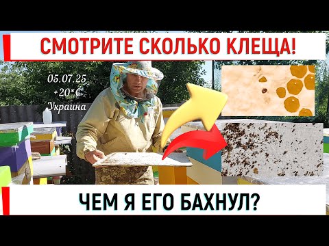 Видео: Летняя обработка от клеща! Очень важно и нужно!