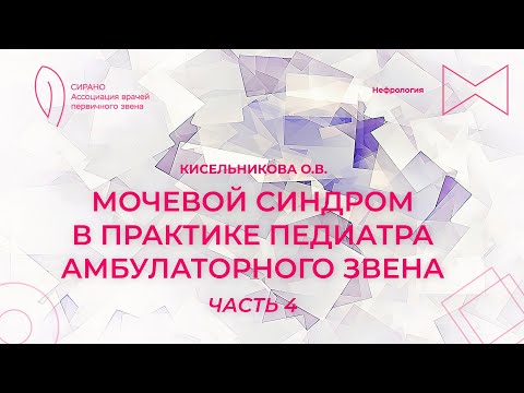 Видео: 16:00 26.02.2023 Мочевой синдром в практике педиатра амбулаторного звена. Часть 4