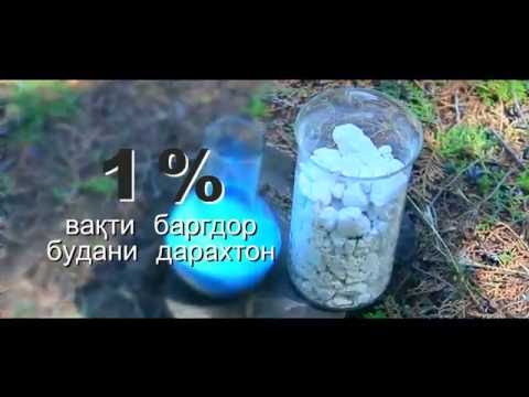 Видео: Чӣ тавр маҳлули бордосӣ омода мешавад?