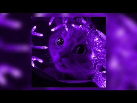 Видео: ★Спокойный Плейлист Чтобы Отдохнуть ★