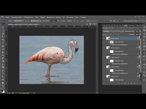Видео: Анимация в Photoshop и марионеточная деформация