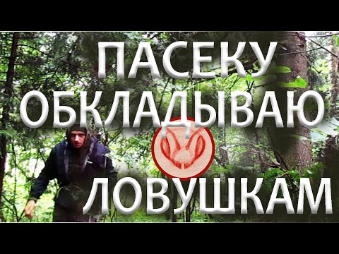 Видео: Вокруг пасеки ставлю роеловки. Как зимуют ловушки на пчёл. Осы в ловушках. Ловушки без  рамок