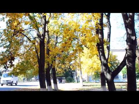 Видео: Осенняя Кодыма