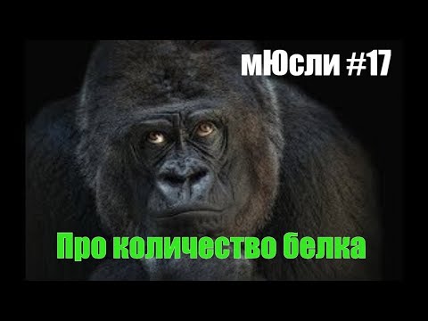Видео: Сколько нужно есть белка на один килограмм веса тела