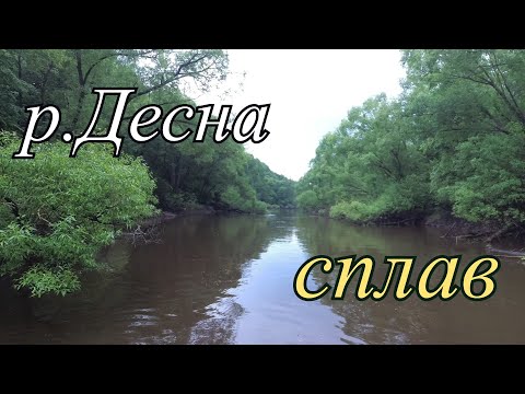 Видео: Сплав по Десне. Рыбалка и быт, двухдневный поход за голавлем.