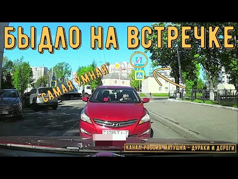 Видео: Быдло на встречке #141! Подборка на видеорегистратор!