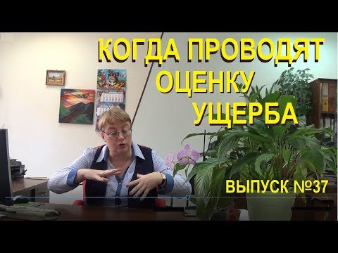 Видео: Когда проводят оценку ущерба залива квартиры Выпуск №37 спроси у эксперта