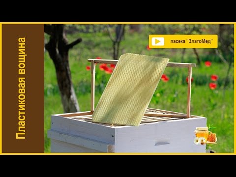 Видео: Выпуск №18 Пластиковая вощина