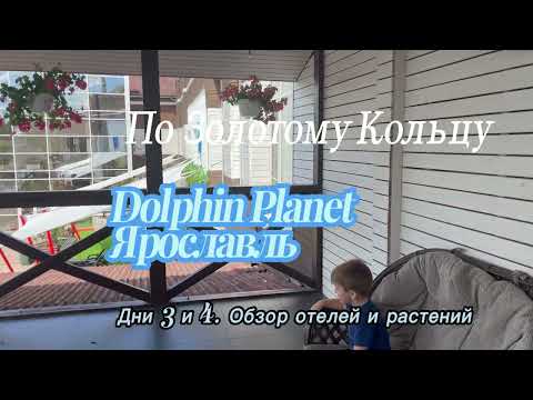 Видео: По Золотому Кольцу - Дни 3 и 4. Отель Dolphin Planet, Ярославль + ПРОМОКОД ОСТРОВОК 15%
