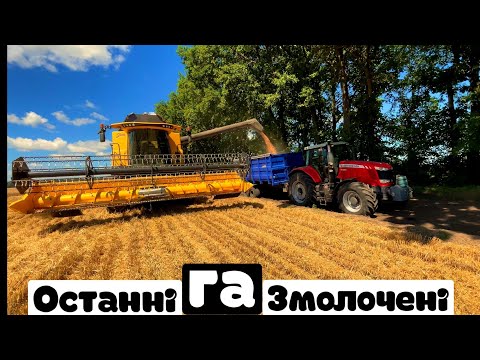 Видео: Міжряддя 35см на пшениці.має право бути💪результат👌класність👍