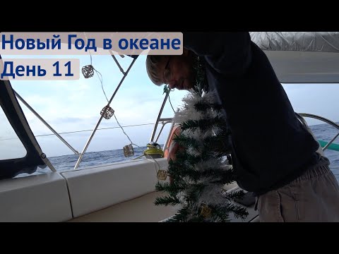 Видео: Новый Год в океане | Трансатлантика день 11
