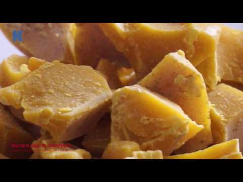 Видео: Анастасія Панкова про віск, свічки та народні вірування