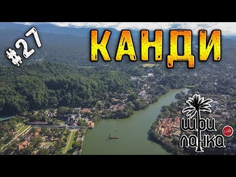 Видео: #27 Канди