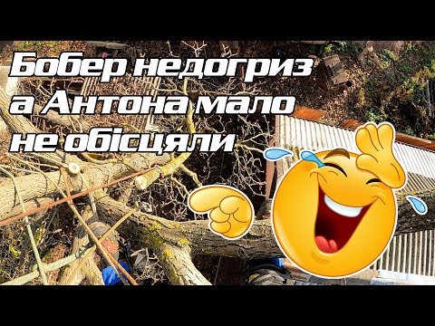 Видео: Недорізаний горіх