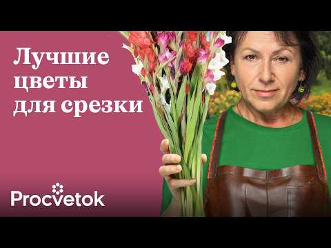 Видео: САМЫЕ КРАСИВЫЕ И СТОЙКИЕ ЦВЕТЫ ДЛЯ БУКЕТОВ ИЗ ВАШЕГО САДА!