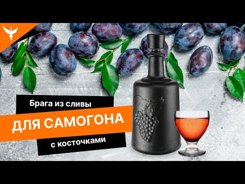 Видео: Брага из сливы с косточками для самогона