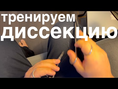Видео: как тренировать диссекцию