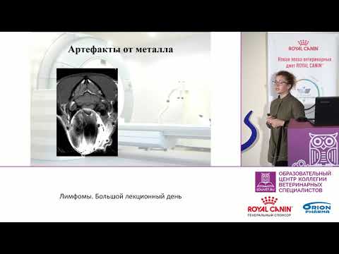 Видео: Меликова Ю. Н. - МРТ диагностика лимфом