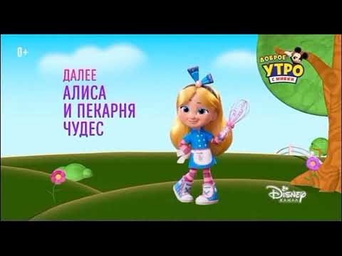 Видео: История заставок (Канал Disney, 31.12.2011-14.12.2022)