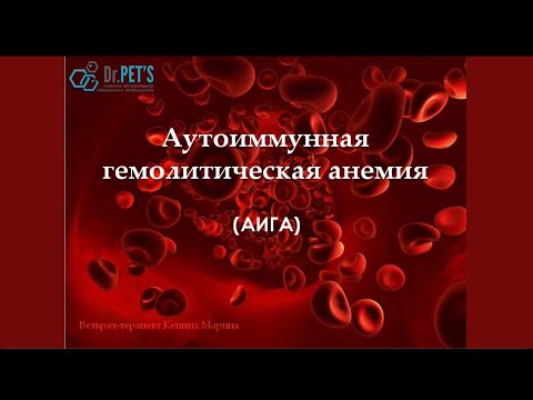 Видео: Аутоиммунная гемолитическая анемия (АИГА)