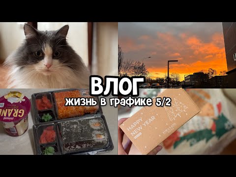 Видео: vlog: покупки к Новому году | будни офисного работника | 28-31.10.2025