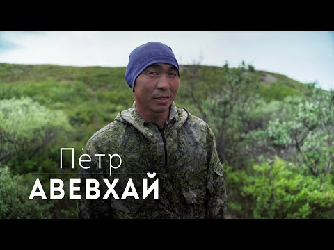 Видео: Пётр Авевхай о повседневной жизни оленеводов