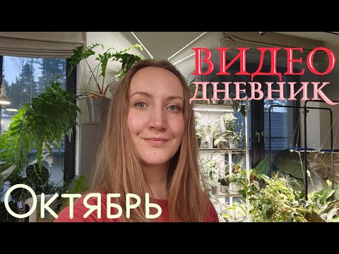 Видео: Видеодневник ЦВЕТОВОДА: Октябрь 2025 I Пересадки, распаковки, обзор растений