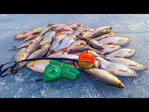 Видео: ПОПАВ на роздачу плітки, густери. Зимова риболовля на гірлянду.