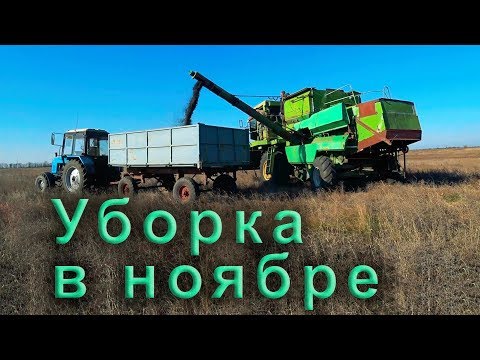 Видео: Уборка подсолнуха ДОН 1500 б.