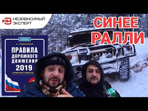 Видео: У НАС БЫЛ ВИСКАРЬ У НИХ 35 АВТОМОБИЛЕЙ!