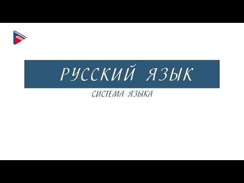 Видео: 8 класс - Русский язык - Система языка