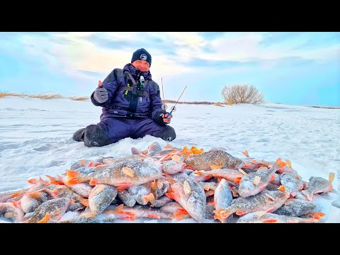 Видео: БЕШЕНЫЙ КЛЁВ НА МОРМЫША! ИМЕННО ТАК ВЫГЛЯДИТ ЖОР РЫБЫ! Рыбалка на 8 марта