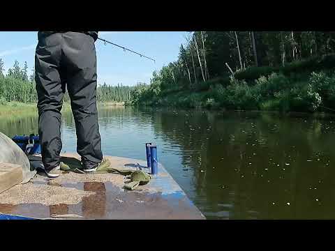 Видео: 5 серия. нижняя тунгуска экспедиция 2021