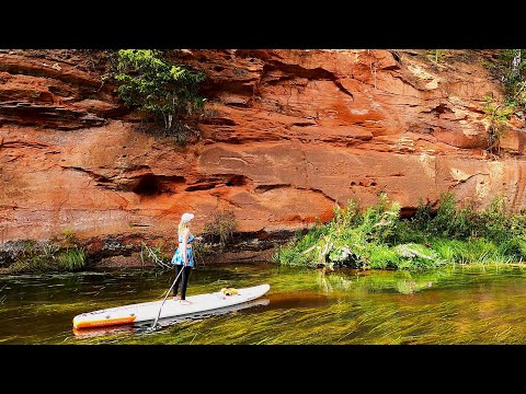 Видео: Кусочек SUP прогулки по реке Оредеж