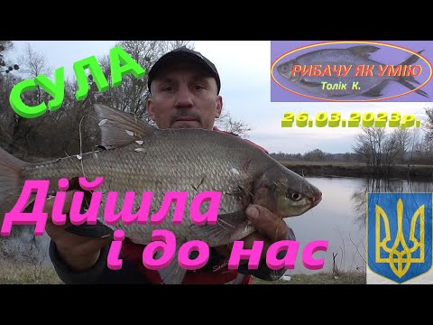 Видео: #СУЛА # Риба дійшла і до нас #РибачуЯкУмію