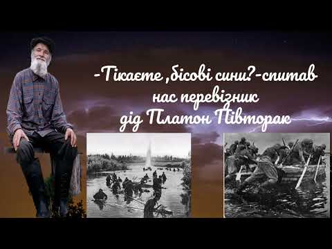 Видео: Буктлейлер Дриживецька О В