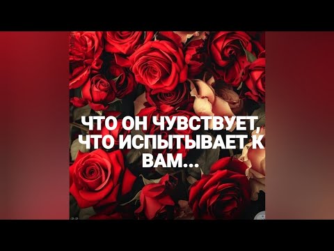 Видео: ‼️🌹ЕГО ЧУВСТВА ❤️К ВАМ СЕГОДНЯ ❗#таро#tarot ЗАВЕЛЕНАТАРО