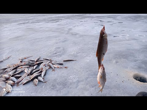 Видео: ПОСЛЕДНИЙ ЛЁД. ВЕЧЕРНЯЯ РЫБАЛКА НА ЮЖНОМ УРАЛЕ!