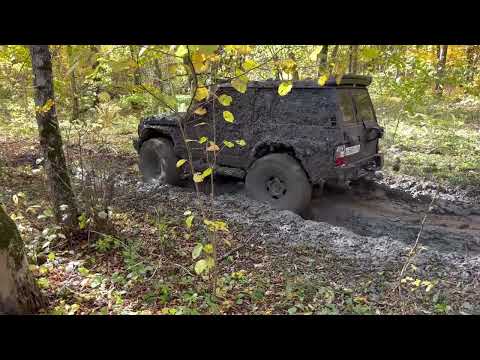 Видео: 1 ноября 2023 г.