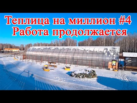 Видео: Теплица на миллион #4 Работа продолжается.