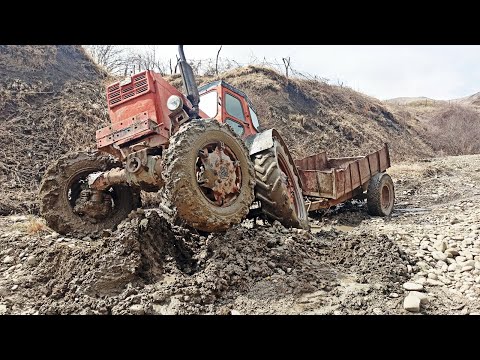 Видео: Трактор Т40 застрял с прицепом  в грязи | Трактор Т 40 Пришел На Помош