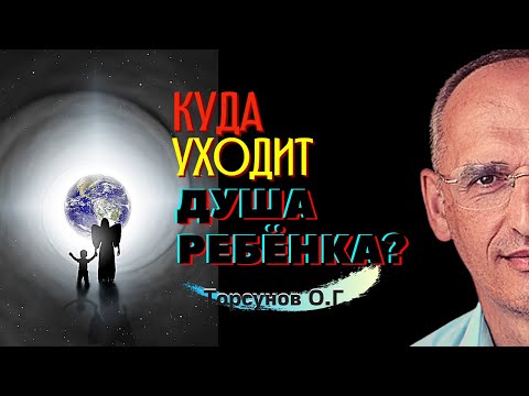 Видео: Куда УХОДИТ душа ребёнка? Торсунов лекции