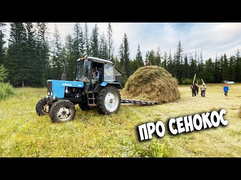 Видео: Про летний сенокос от спецкора Егора Егоровича