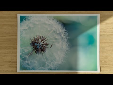 Видео: Векторная функция и векторное поле | ФНП 2.1