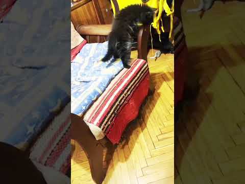 Видео: Моди приехал в Москву👍