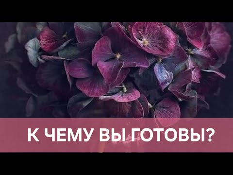 Видео: К ЧЕМУ ВЫ ГОТОВЫ?🥰🥰🥰🥰🥰🥰